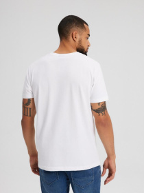 Футболка DIVERSE Core Logos 241 модель 10043639 Фото