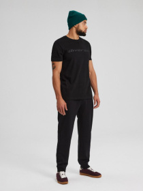 Футболка DIVERSE Core Logo 241 модель 10043638 Фото