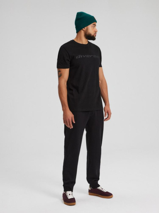Футболка DIVERSE Core Logo 241 модель 10043638 Фото