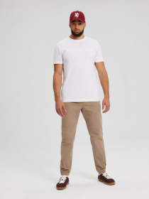 Футболка DIVERSE Core Logo 241 модель 10043638 Фото