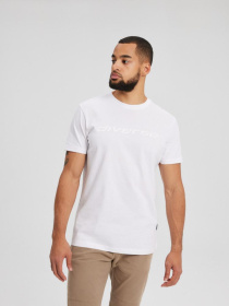 Футболка DIVERSE Core Logo 241 модель 10043638 Фото