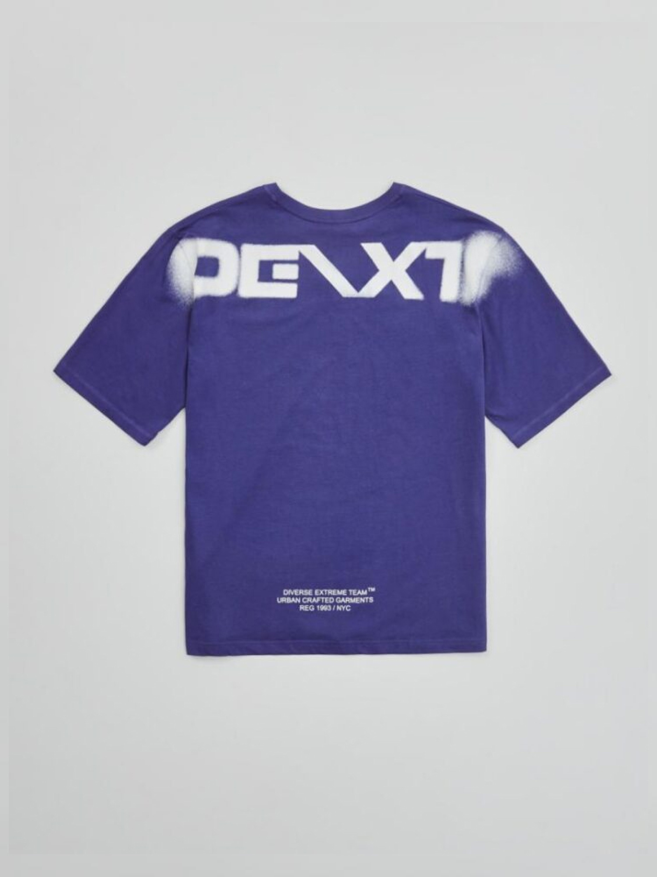 Футболка DIVERSE Dext A модель 10042927 Фото