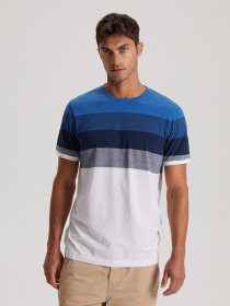 Футболка DIVERSE Brawly Xii модель 10041896 Фото