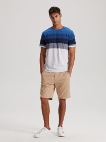 Футболка DIVERSE Brawly Xii модель 10041896 Фото