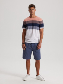 Футболка DIVERSE Brawly Xii модель 10041896 Фото