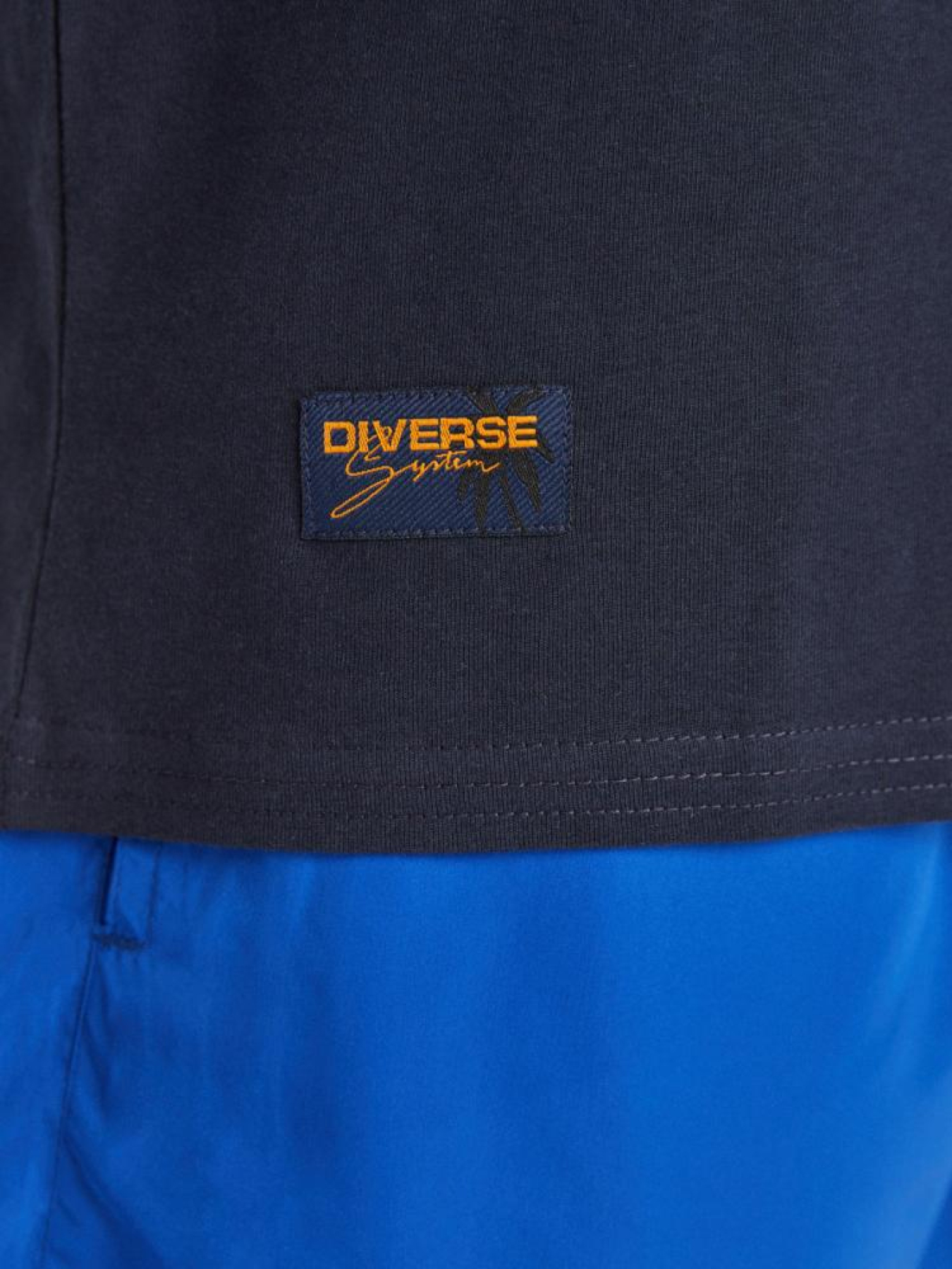 Футболка DIVERSE Citylane La 01 модель 10041870 Фото