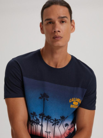 Футболка DIVERSE Citylane La 01 модель 10041870 Фото