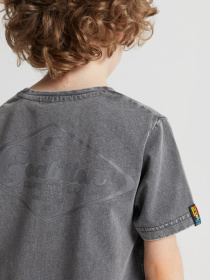 Футболка DIVERSE Cltn K Sun02 модель 10041772 Фото