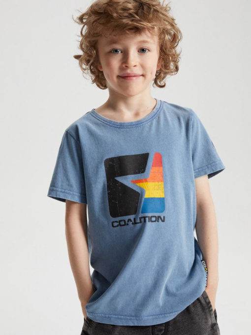 Футболка DIVERSE Cltn K Str03 модель 10041771 Фото