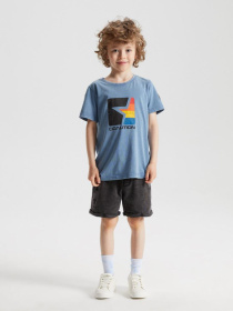 Футболка DIVERSE Cltn K Str03 модель 10041771 Фото