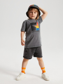 Футболка DIVERSE Cltn K Str03 модель 10041771 Фото