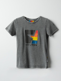 Футболка DIVERSE Cltn K Str03 модель 10041771 Фото