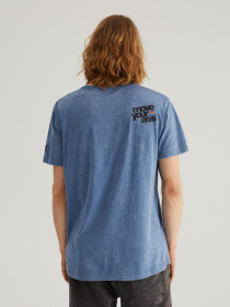 Футболка DIVERSE Cltn Str03 модель 10041755 Фото