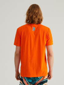 Футболка DIVERSE Cltn Logo 123 модель 10041747 Фото