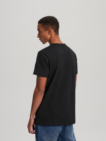 Футболка DIVERSE System 01 модель 10041083 Фото