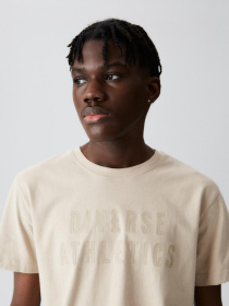 Футболка DIVERSE Ath T 323 модель 10041065 Фото