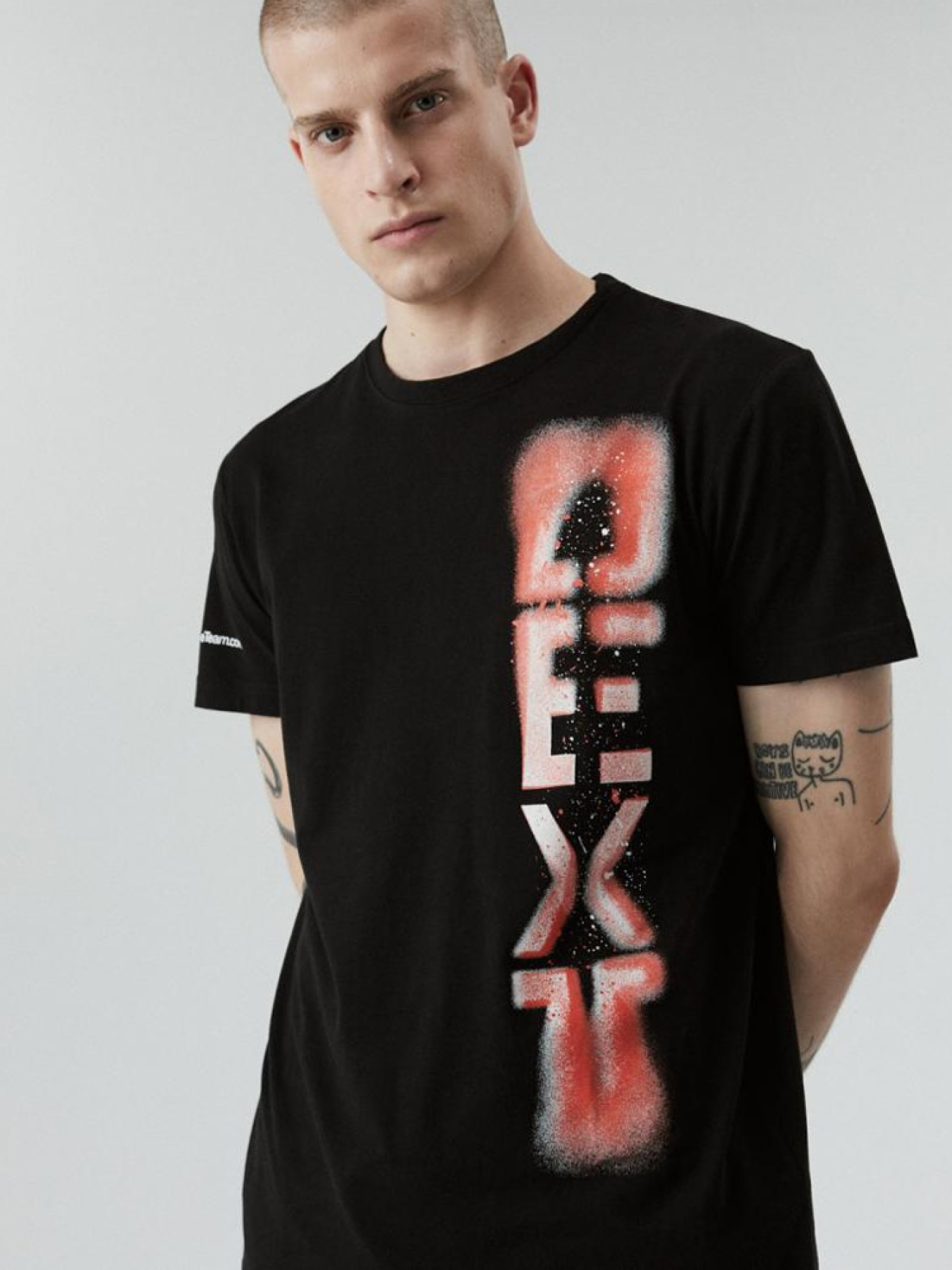 Футболка DIVERSE Dext 1022 модель 10040553 Фото