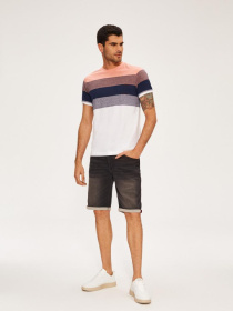 Футболка DIVERSE Brawly Xi модель 10039580 Фото