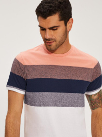 Футболка DIVERSE Brawly Xi модель 10039580 Фото