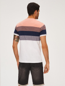 Футболка DIVERSE Brawly Xi модель 10039580 Фото