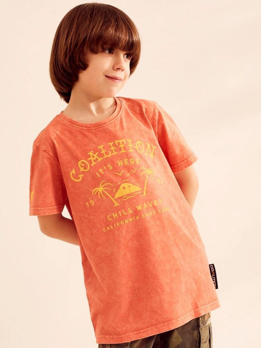 Футболка DIVERSE Cltn Kid Sunbre модель 10037355 Фото