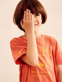 Футболка DIVERSE Cltn Kid Sunbre модель 10037355 Футболка DIVERSE Cltn Kid Sunbre модель 10037355 Фото