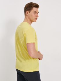 Футболка DIVERSE Summer Vibe 0321 модель 10037045 Фото