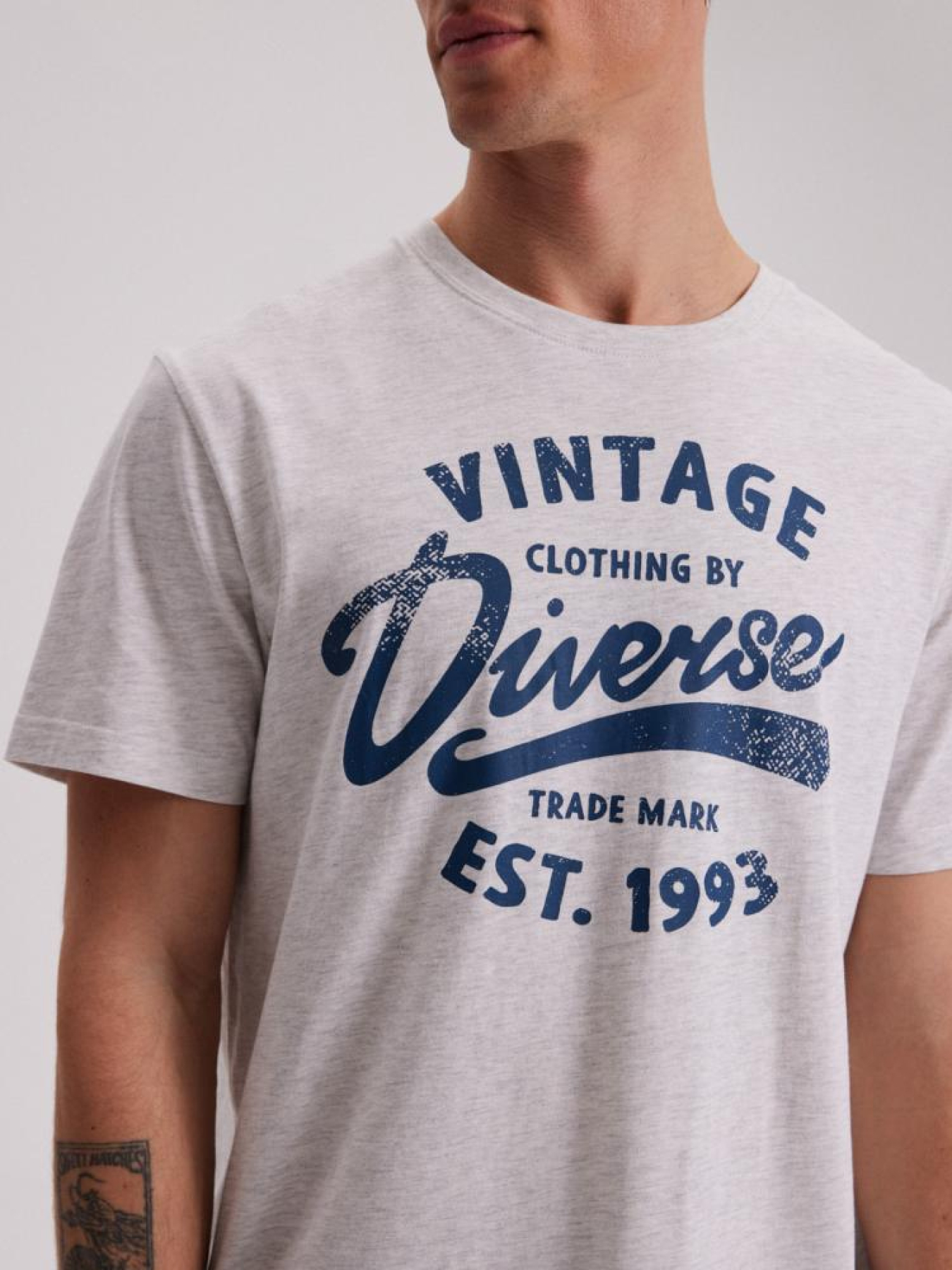 Футболка DIVERSE Assaj Viii модель 10043938 Фото