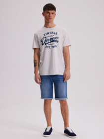 Футболка DIVERSE Assaj Viii модель 10043938 Фото