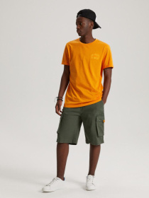 Футболка DIVERSE Kent La 02 модель 10041879 Фото