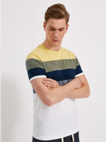 Футболка DIVERSE Brawly X модель 10036923 Фото