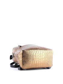 Рюкзак Bella Bertucci модель 1633-21-36 Фото