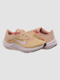Кроссовки для бега NIKE Winflo 10 Beige модель DV4023-100 Фото