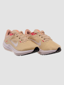 Кроссовки для бега NIKE Winflo 10 Beige модель DV4023-100 Фото