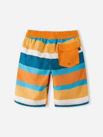 Шорты для плавания REIMA Papaija модель 5200155B-27A2 Фото