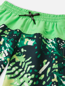 Шорты для плавания REIMA Papaija модель 5200155B-8467 Фото