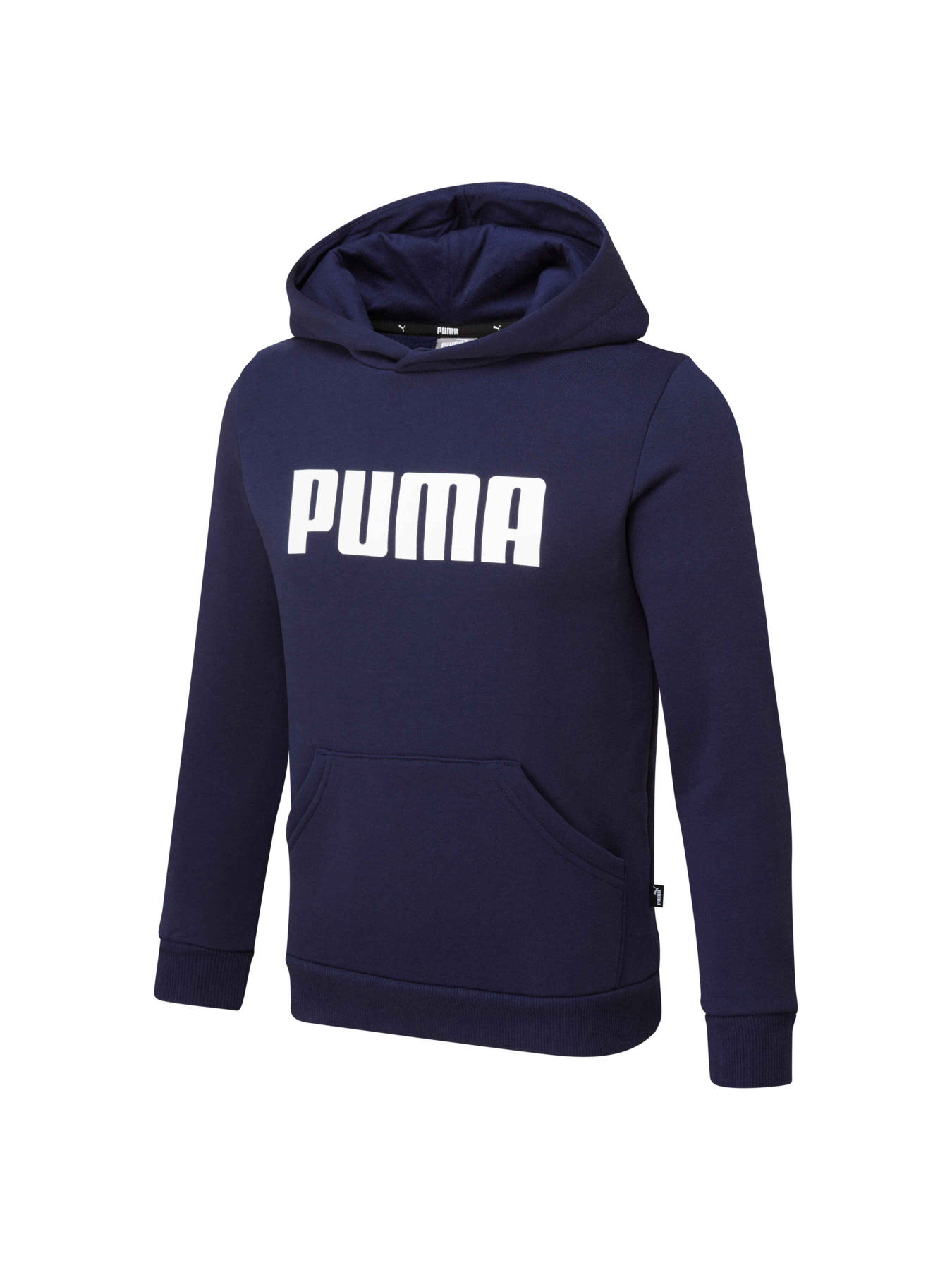 Худи PUMA Boys Ess Hoody Fl модель 847596 Фото