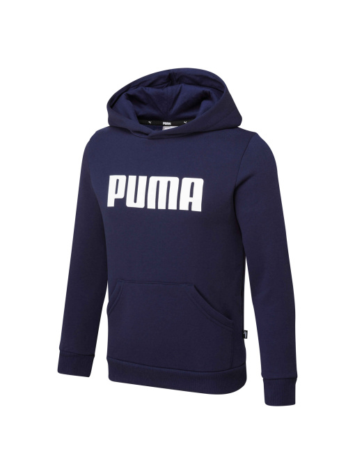 Худи PUMA Boys Ess Hoody Fl модель 847596 Фото