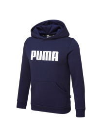 Худи PUMA Boys Ess Hoody Fl модель 847596 Фото