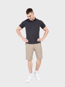 Поло AVECS модель 30532_17 Фото