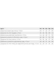 Спортивный костюм Носи своє модель 6415-057-33-4-temnij-graft Фото