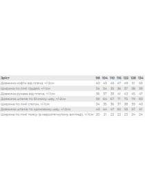 Спортивный костюм Носи своє модель 6018-057-33-4-chornilxno-sinj Фото