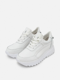 Кроссовки повседневные Dino Vittorio модель ЦБ-00244686 Фото