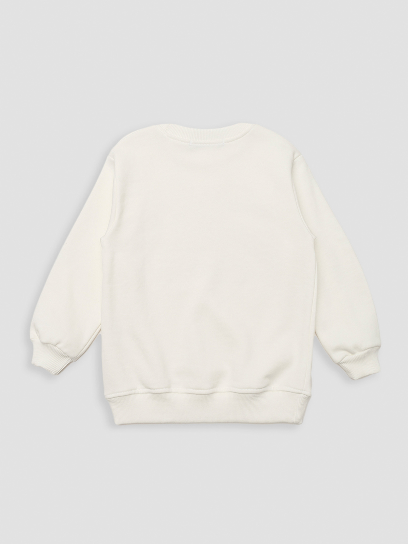 Світшот YUKI модель ЦБ-00269708 Фото