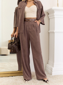 Классические штаны Dressa модель 73620 Фото