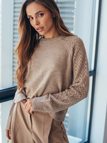 Худи и свитшоты Dressa модель 70658 Фото