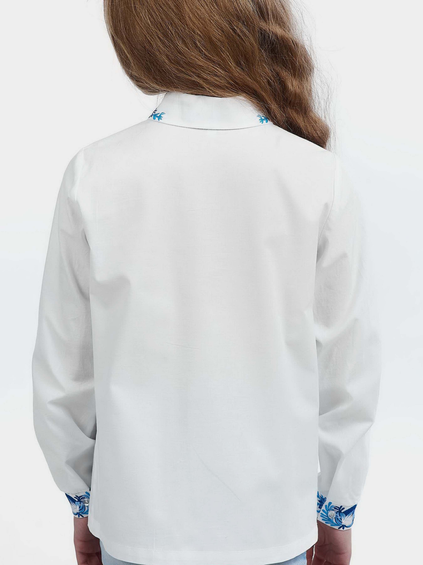 Вышитая рубашка Едельвіка модель 192-19-09 Фото