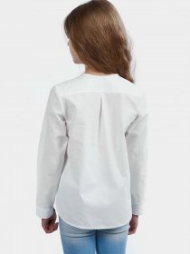 Вышитая рубашка Едельвіка модель 209-19-00 Фото