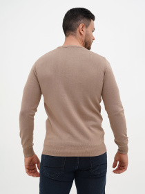 Джемпер Trend Collection модель TC12646BeigeSVTRMN Фото