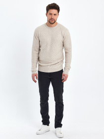 Джемпер Trend Collection модель TC10466BeigeSVTRMN Фото